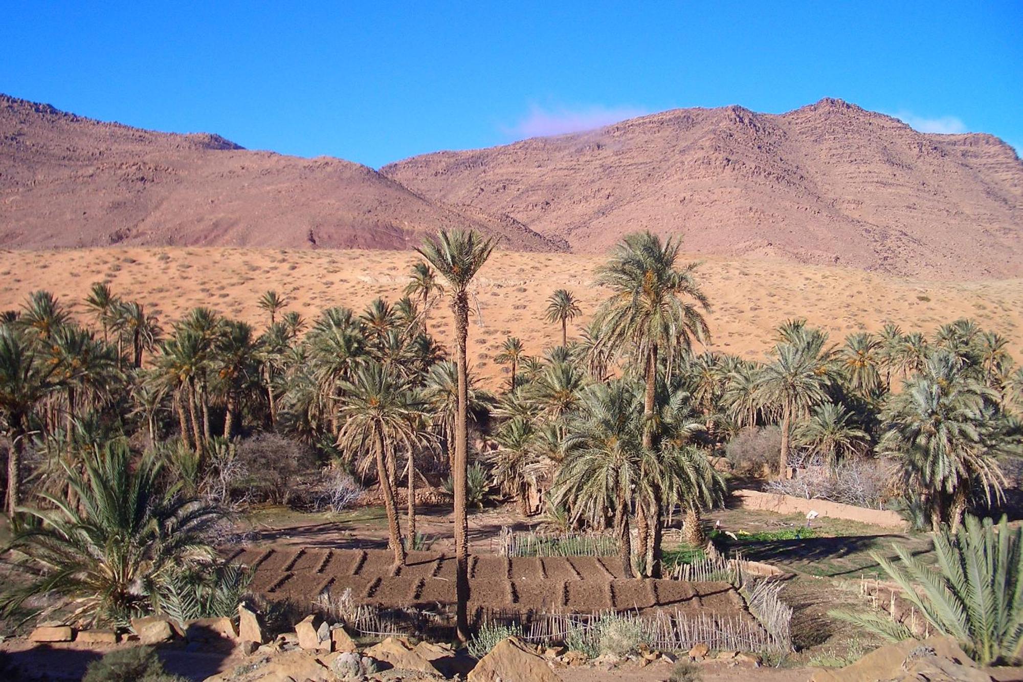 Maison Ich Chez Abdel Luaran gambar